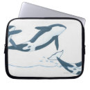 Search for orca electronics Animal