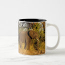 Search for zimbabwe mugs Nature