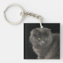 Search for grey cat key rings Kitten