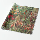 Search for botany wrapping paper Ernst haeckel