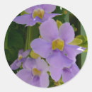 Search for vine stickers Flower