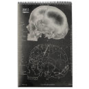Search for skeleton calendars Anatomy