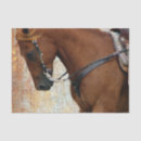 Search for western tissue paper Equine