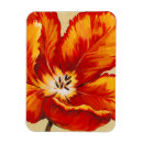 Search for parrot magnets Floral