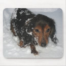 Search for dachshund mousepads Puppy
