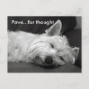 Search for westies postcards Cute