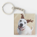 Search for smiling dog key rings Happy