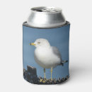 Search for seagull food storage Wildlife