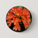 Search for orange flowers badges Summer