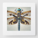 Search for dragonfly clocks Watercolor