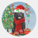 Search for newfoundland dog stickers Animals
