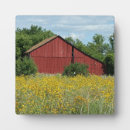 Search for field plaques Summer