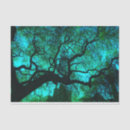 Search for tree silhouette tissue paper Blue