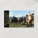 Search for herd business cards Cattle