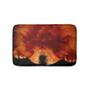 Search for puffy photography Dog