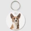 Search for cardigan key rings Dog
