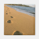 Search for beach walk magnets Sand