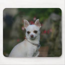 Search for bob mousepads Bob and pam langrish