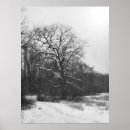 Search for solstice photography Snow