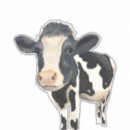 Search for heifer stickers Funny