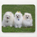 Search for spitz mousepads Loulou