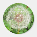 Search for multi region magnets Garden