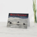 Search for geese cards Waterfowl