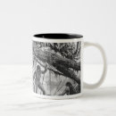 Search for rain forest mugs Jungle