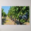 Search for grapevine art Fruit