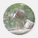 Search for gone fishing magnets Nature