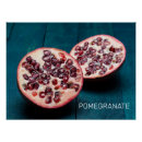 Search for pomegranate fruit posters Retro