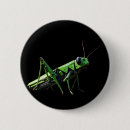 Search for grasshopper badges Green
