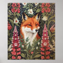 Search for foxglove flowers posters Nature