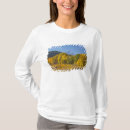 Search for teton range Colour