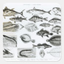 Search for zoology stickers Species