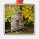 Search for build builds christmas tree decorations Autumn