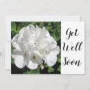 Search for photo get well cards Nature