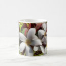 Search for hawaii plants mugs Plumeria