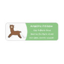 Search for alpaca return address labels Illustration