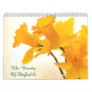 Search for daffodil gifts Photography