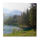 Search for scenic tiles Trees