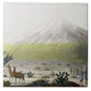 Search for von tiles Friedrich