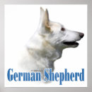 Search for herding dog posters Breed