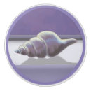Search for seashells knobs and pulls Nature