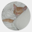 Search for nap stickers Animals