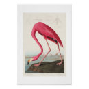 Search for pink flamingo art Antique