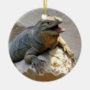 Search for rhino christmas tree decorations Wildlife