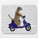 Search for meerkat gifts Contemporary