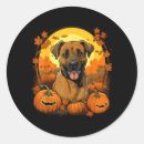Search for thanksgiving dog stickers Fall foliage