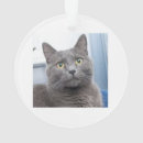 Search for rescue christmas tree decorations Foster